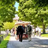 Discovering Timeless Elegance at the Renovated Inn at Stonecliffe