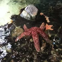 Discover Exciting Spring Break Adventures Across Southern California