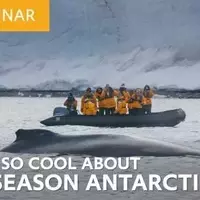 The Enchanting Allure of Antarctica's Late Summer