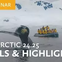 Discover the Enchanting Wonders of Antarctica in 2024/2025