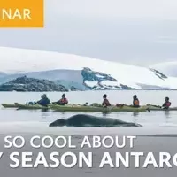 The Enchantment of Early Summer in Antarctica