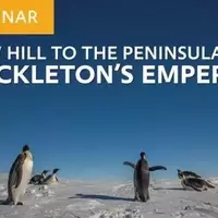 Exploring the Frozen Wilderness: A Unique Antarctic Expedition