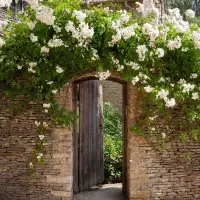 Unveiling the Hidden Gems of England's Heartland