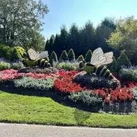 Discovering the Hidden Gems of Niagara Falls, Canada