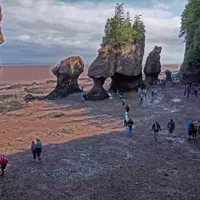 The Majestic Bay of Fundy: Exploring the Natural Wonders of Hopewell Rocks