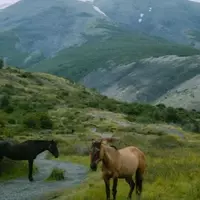 Adventure Photographer Chronicles: Capturing the Wild Beauty of Patagonia