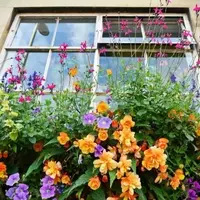 Spring Awakens in London: March 2025 Events and Highlights