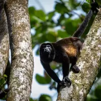 Discovering the Hidden Biodiversity Treasure of Southern Mexico