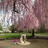 Philadelphia's Hidden Floral Gems: A Springtime Escape Beyond the Obvious
