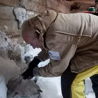 Antarctic Hut Restoration Uncovers Century-Old Treasures