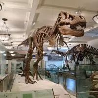 A Comprehensive Guide to Exploring the American Museum of Natural History