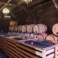 Discovering the Hidden Gem of Valle de Guadalupe: A Girls’ Wine Adventure
