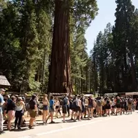 Record-Breaking Visits to U.S. National Parks Amid Staffing Challenges