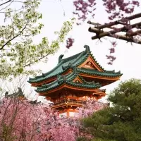 Embracing the Art of Consideration in Japan
