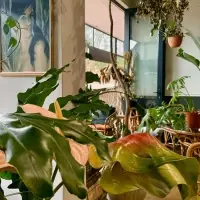 Reviving Johannesburg's Culinary Soul: A Journey Through Urban Regeneration and Flavor
