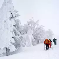 Exploring Japan's Winter Beauty Beyond the Ski Slopes