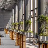 Urban Oasis in the Sky: Tokyo Edition's Luxurious Retreat