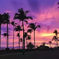 Maui Family Adventures: A Paradise for All Ages