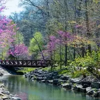 Discover Bentonville: A Hub for Adventure and Artistic Exploration