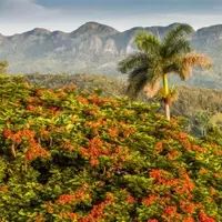 Exploring Cuba's Allure: A Journey Through Its Prime Destinations