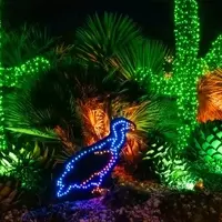 Tacoma: A Winter Wonderland of Art, Nature, and Culture
