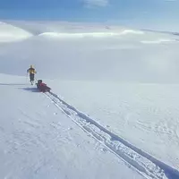 Arctic Expeditions Thrive Despite Challenges