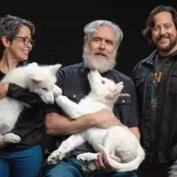 Reviving Legends: The Resurrection of Dire Wolves Through Advanced Genetics