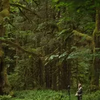 Exploring the Serenity of Earth's Quietest Havens
