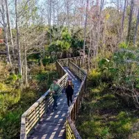 Florida's Pioneer in Inclusive Nature: Exploring the Autism-Friendly North Jupiter Flatwoods