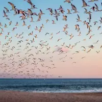 Discovering the Charm of New Jersey's Coastal Getaways