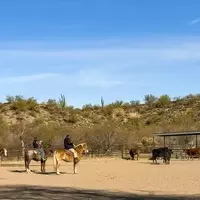 Embarking on a Western Adventure: The Ultimate Guide to Dude Ranch Style