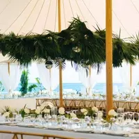 A Unique Bermuda Wedding: Celebrating Love and Culture