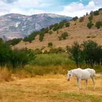 Discovering Idaho's Hidden Gems: A Journey Through Time and Terrain