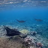Legal Action Sparks Hope Amidst NOAA Controversy