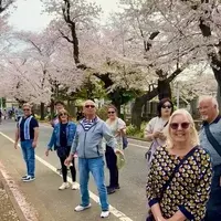 Exploring Japan: A Solo Female Traveler's Enriching Journey