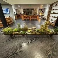 A Transformative Wellness Experience Awaits at Juniper Preserve