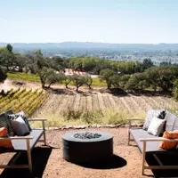 Exploring Beyond the Vineyards: A Sensory Journey Through Sonoma County