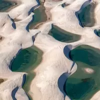 Discovering the Vibrant and Natural Wonders of Brazil's Beaches