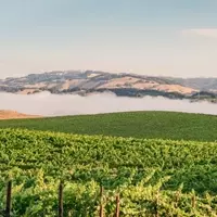 Exploring Sonoma County: A Multifaceted Destination Beyond Wine