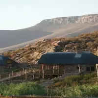A Grand Family Expedition: South Africa and Dubai
