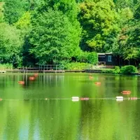 Unveiling London's Aquatic Adventures: A Family Guide to Water Sports