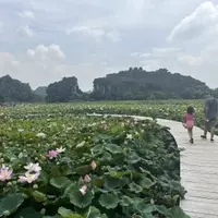 Unforgettable Family Adventures: A Comprehensive Guide to Traveling Vietnam with Children