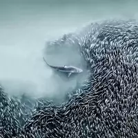 Inaugural Aerial Photography Competition Unveils Breathtaking Winners