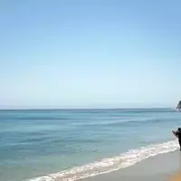 Coastal Gems: Exploring Los Angeles' Premier Beaches