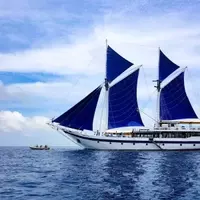 Summer 2025: Emerging Trends in Small-Ship Expedition Travel