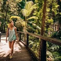 K'gari: Australia's Pristine Sand Island beckons with unparalleled adventures