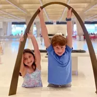 A Comprehensive Guide to Family Adventures in St. Louis