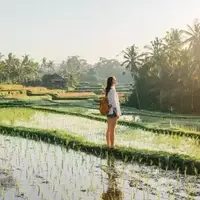 Unveiling Bali's Best Seasons for Your Perfect Getaway