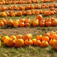 Autumn Adventures: Exploring Massachusetts in Fall
