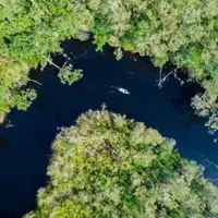 Unveiling the Serenity of Noosa Everglades: Australia's Mirror River